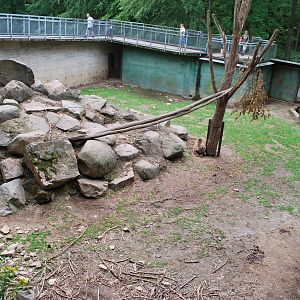The one and only bad enclosure/exhibit at Skanes Animal Park: Bear enclosur