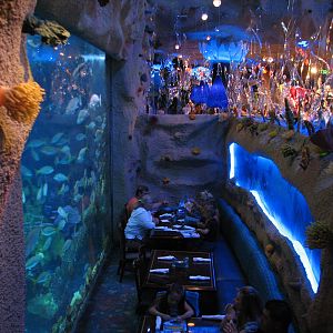Aquarium Restaurant