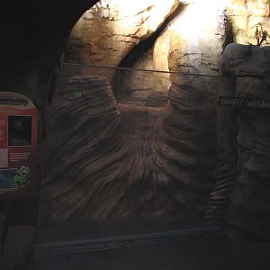 In the Desert - Flash Flood