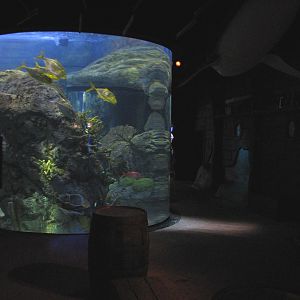 Shipwreck - Aquarium