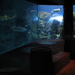 Shipwreck - Aquarium