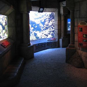 Sunken Temple - Tropical Aqauriums