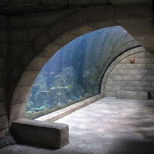Sunken Temple - Aquarium
