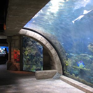 Sunken Temple - Aquarium