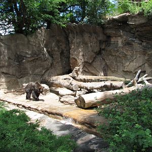 Historic Bear Mountain - Grizzly Bear