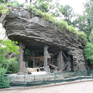 Historic Bear Mountain - Coatis