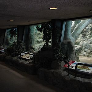 Felines - Interior Exhibits