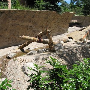 Northern Shores - Polar Bear Exhibit