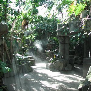 Tropical Discovery - Interior