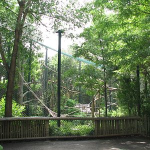 Primate Panorama - Monkey Exhibit