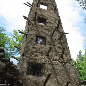 Primate Panorama - Shamba