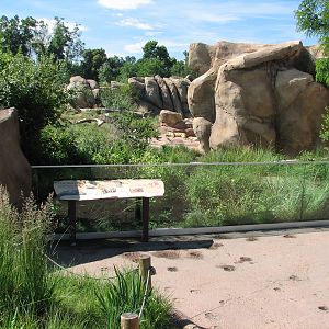 Predator Ridge - Lion Exhibit