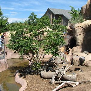 Predator Ridge - Crowned Crane & Guinea Fowl Exhibit