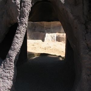 Predator Ridge - Mongoose Exhibit