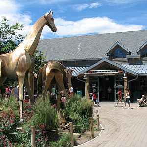 Entrance - Giraffe Sculpture