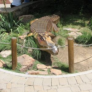 Entrance - Crocodile Sculpture