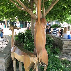Entrance - Gerenuk Sculpture