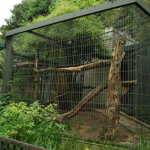 Big Cat house - Cluded leopard outdoor-cage 2