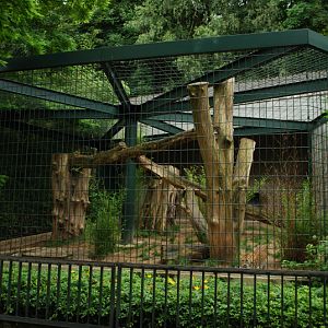 Big Cat house - Indian leopard cage