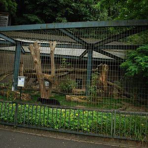 Big Cat house - Black panther cage