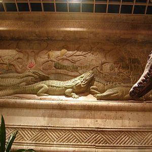 Shark Reef at Mandalay Bay