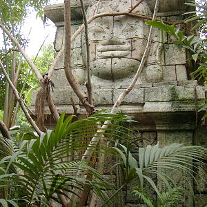 Shark Reef at Mandalay Bay