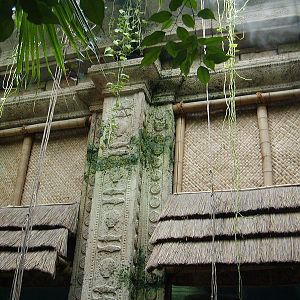 Shark Reef at Mandalay Bay