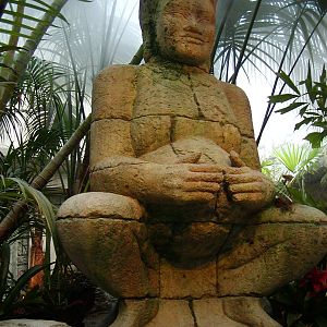 Shark Reef at Mandalay Bay