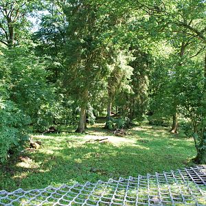 Polar wolf exhibit, July 2009
