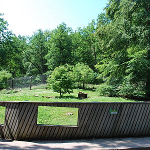 The red fox exhibit
