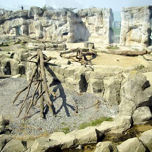 Polarbear-enclosure at Bremerhaven zoo