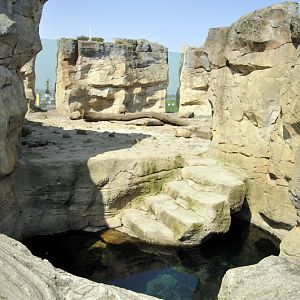 Polarbear-enclosure at Bremerhaven zoo
