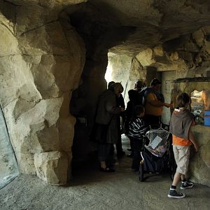 Lemmings at Bremerhaven zoo