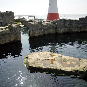 Sealion-enclosure at Bremerhaven zoo