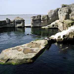 Sealion-enclosure at Bremerhaven zoo
