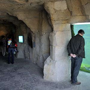 Penguinpool at Bremerhaven zoo