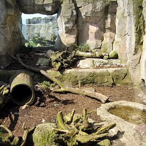 Polarfox-enclosure at Bremerhaven zoo