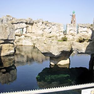 Polarfox-enclosure at Bremerhaven zoo