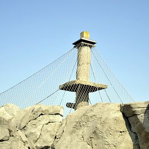 Chimp-lookout at Bremerhaven zoo