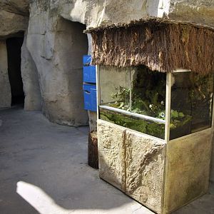 Grass snake enclosure at Bremerhaven zoo