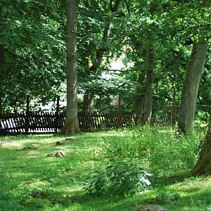 The reindeer exhibit