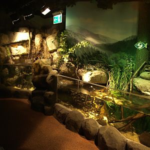 Sea Life Berlin - River Spree