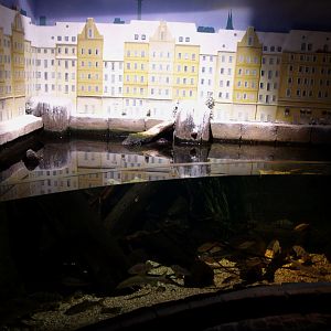 Sea Life Berlin - River Havel