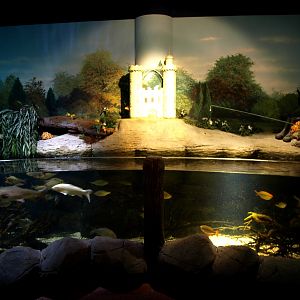 Sea Life Berlin -Lake Wannsee