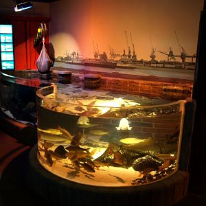 Sea Life Berlin - Hamburg Harbour