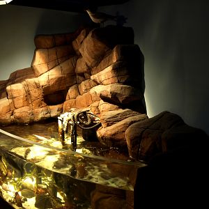 Sea Life Berlin - Rocky Shore