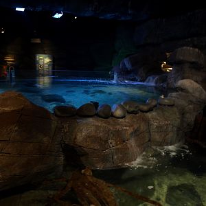 Sea Life Berlin -Ray Tank