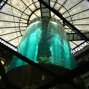 Sea Life Berlin - AquaDom