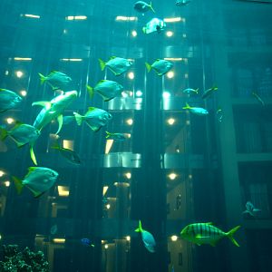 Sea Life Berlin -AquaDom