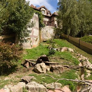 Second Small-clawed otter enclosure